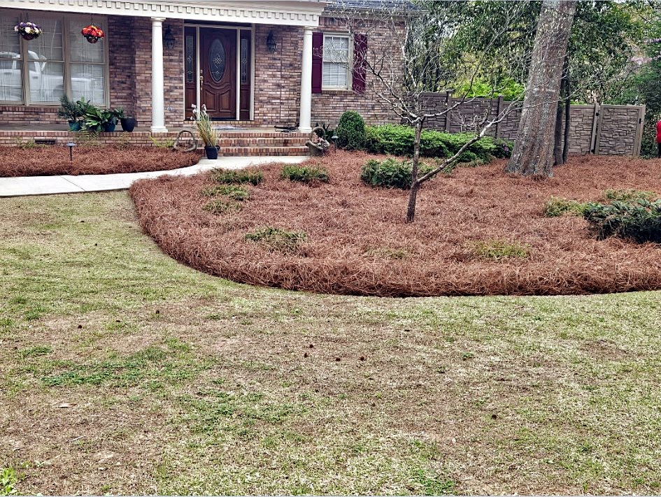Brick ranch house with a curved pine straw island bed and edged lawn