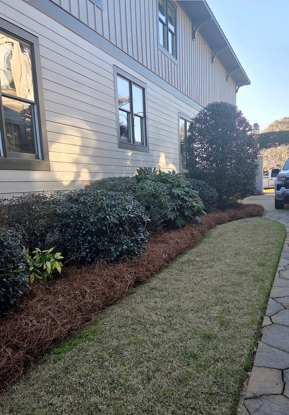 Trimmed shrubs and pine straw along the side of a house with an edged strip of lawn