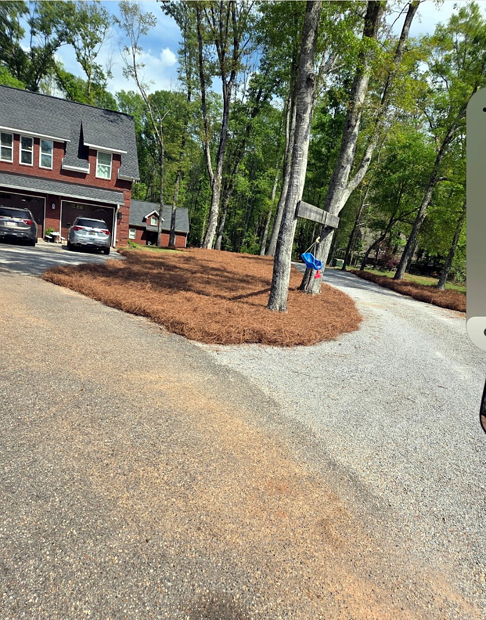 Gravel driveway with a pine straw bed under tall trees
