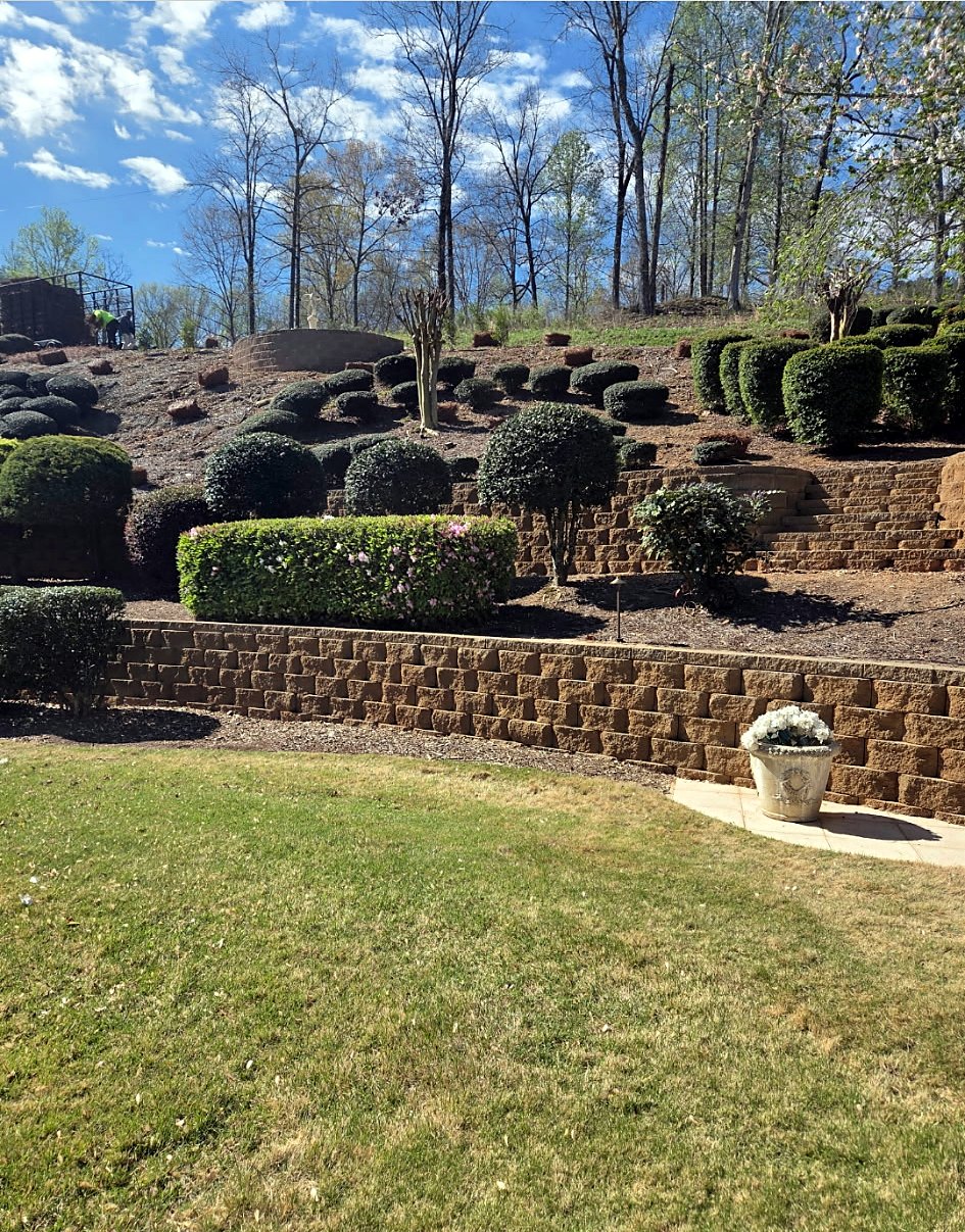 Green lawn below a stone retaining wall with shaped shrubs and a planter
