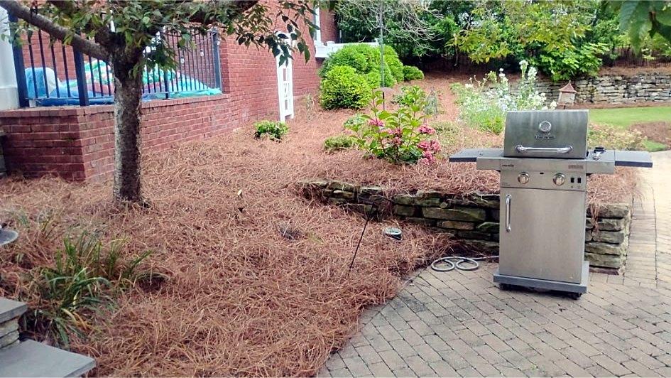 Pine straw bed around a tree beside a brick patio with a grill