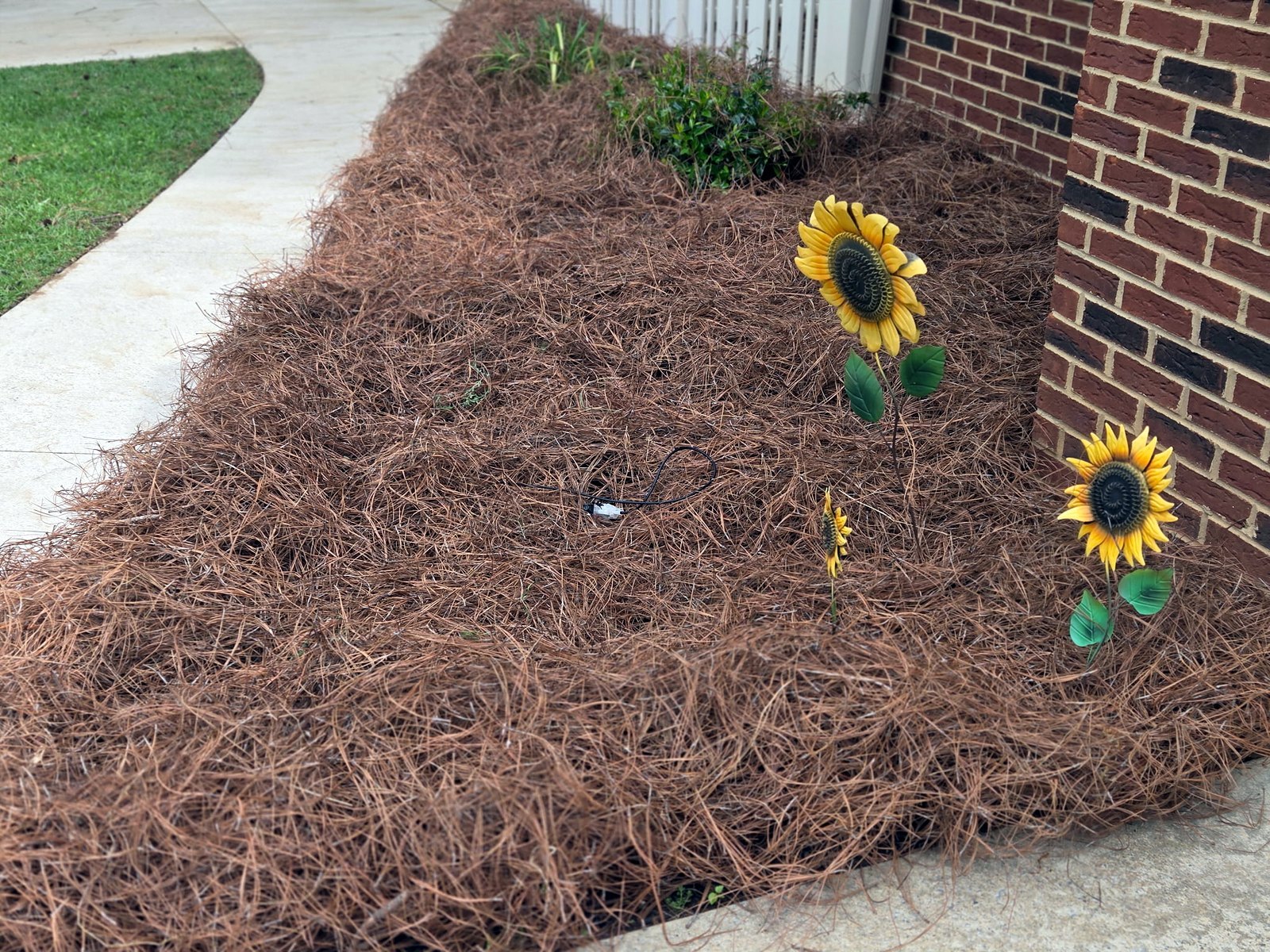Corner bed at a brick house filled with fresh pine straw and sunflower ornaments