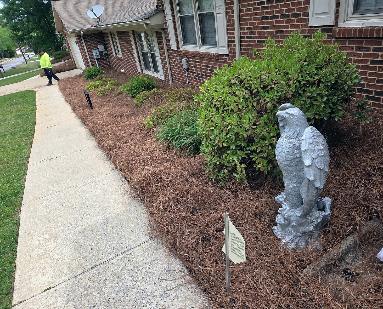 Pine straw bed with trimmed shrubs and an eagle statue along a front walk of a brick house