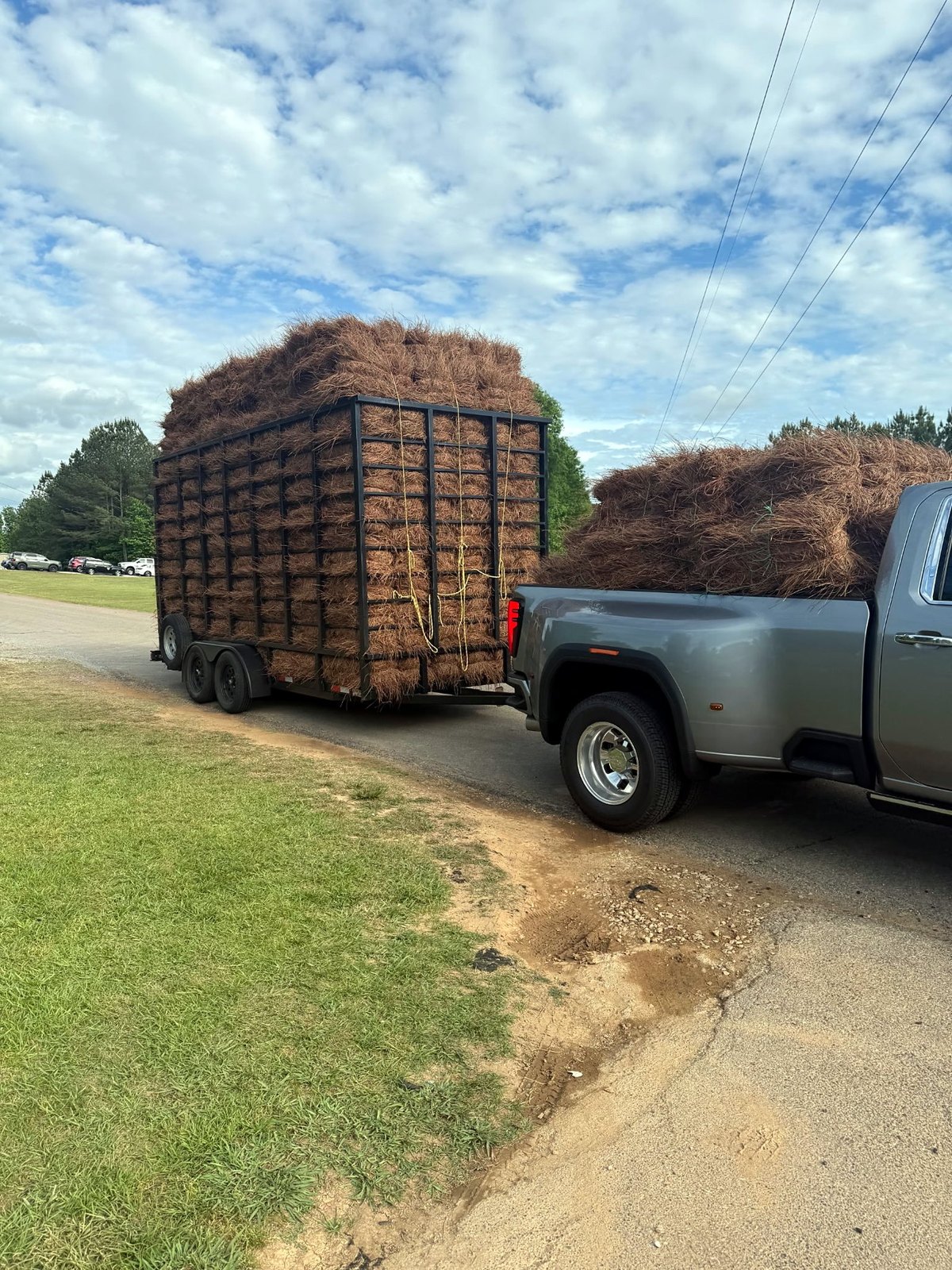 Pickup truck and trailer stacked high with pine straw bales