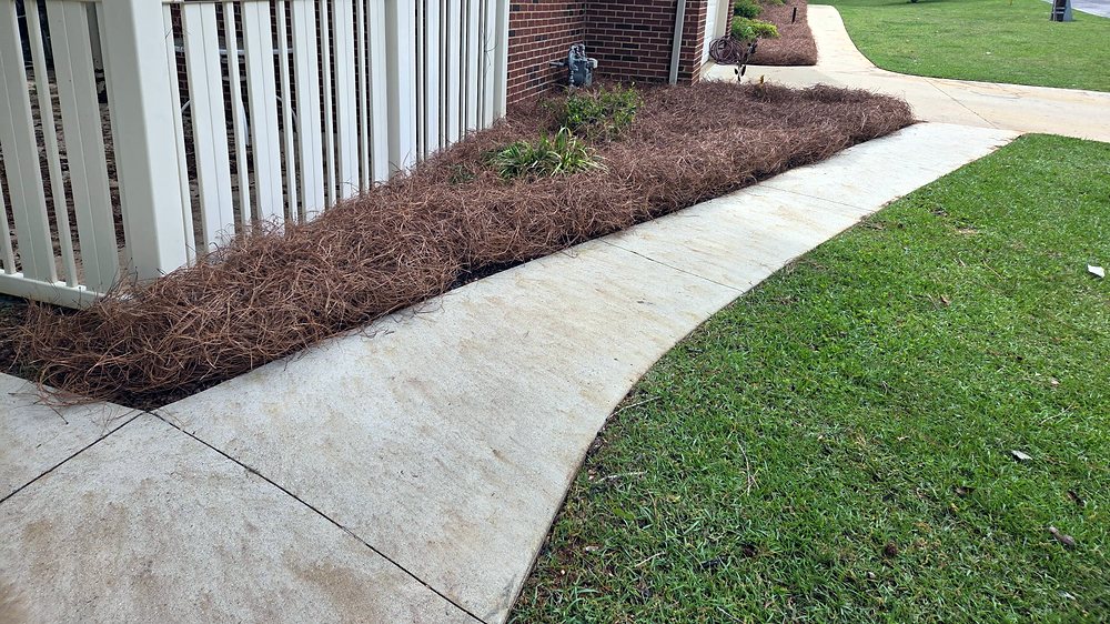 Freshly mowed lawn with a sharp edge along a sidewalk and pine straw bed — a Garcia job
